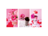 Pink Stems Triptych Prints