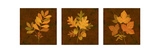Fall Leaves Triptych Posters