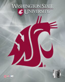 Washington State University Photo
