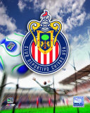 Club Deportivo Chivas USA Foto