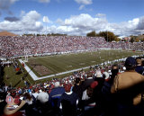 Martin Stadium Photo