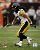 Troy Polamalu Photo