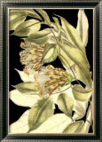 Tranquil Tropical Leaves VI Prints