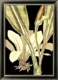 Tranquil Tropical Leaves V Prints