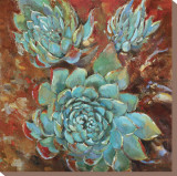 Blue Agave I Reproduction transférée sur toile : par Jillian David
