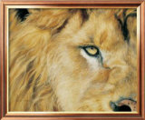 Eye of the Lion Plakat av Lucie Bilodeau