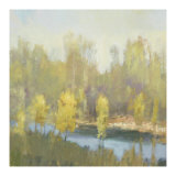 Early Limited Edition by Steve Parker