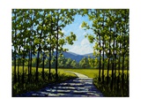 Summer Path Giclee Print by Patty Baker