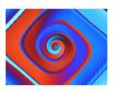 Red And Blue 2 Photographic Print by Vicky Brago-Mitchell