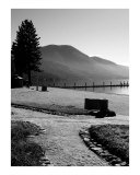 Lake Tahoe Shore Photographic Print by Jason Wolf