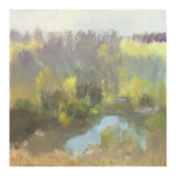 Yellow Pond Limited Edition by Steve Parker