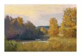 Yellow Light Limited Edition by Steve Parker