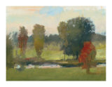 Straightforward Observation Limited Edition by Steve Parker