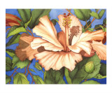 Peaches n Creme Giclee Print by Jolly Kornicks