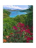 Tropical Colors of Saint John, US Virgin Islands Photographic Print by George Oze