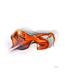Leo Lion Photographic Print by Christian Simonian