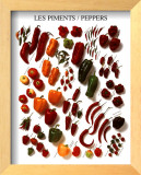 Peppers Posters