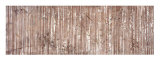 Growth Lines Edición limitada por Isabel Lawrence