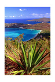 Aerial View, Magens Bay, St Thomas, USV Photographic Print by George Oze