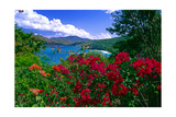 Colorful Caribbean View, St John, Virgin Islands Photographic Print by George Oze