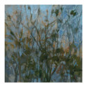 Rhapsody I Limited Edition by Kim Coulter