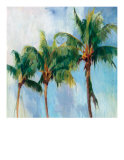 Three Palms Edición limitada por Sara Abbott Three Palms Edición limitada por Sara Abbott