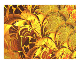 Light 7 Photographic Print by Vicky Brago-Mitchell