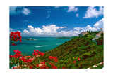 Caribbean Panorama, Fajardo, Puerto Rico Fotografie-Druck von George Oze