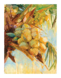 Golden Coconuts Edition limitée par Sara Abbott