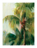 Quiet Palm Edición limitada por Sara Abbott Quiet Palm Edición limitada por Sara Abbott