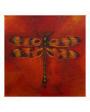 Dragonfly Michan Giclee-trykk av Sheryl Bunnage