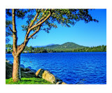 Absolute Peace at Lake Placid Giclee Print by New Yorkled