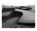 Desert Near Dubai Photographic Print by Donna Corless