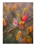 The Cardinals Giclee Print by Sarah Davis