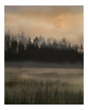 Misty Moonscape Photographic Print by Sari Mcnamee