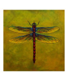 Dragonfly Lexie reproduction procédé giclée par Sheryl Bunnage
