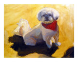 Lhasa Apso reproduction procédé giclée par tara benet