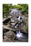 La Coca Waterfall, Puerto Rico Photographic Print by George Oze