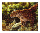 On The Prowl Giclee Print by Crista Forest