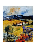 Provence 0707 Giclee Print by Ledent 