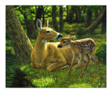 First Spring Reproduction procédé giclée par Crista Forest