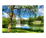 Beauty Incarnate at Central Park, NYC Giclee Print by New Yorkled