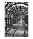 Walking Archway Photographic Print by Donna Corless Walking Archway Photographic Print by Donna Corless