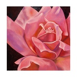 Röntgenaufnahme einer rosafarbenen Rose Giclée-Druck von Hyunah Kim