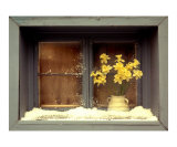 Ghost Jonquils Photographic Print by Art Gore