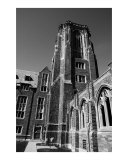 Tower at Cornell University Fotografisk trykk av Nicole Bivins