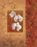 Orchid Autumn II Prints by Vivian Flasch Orchid Autumn II Prints by Vivian Flasch