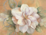 Camellia on Honey I Posters par Vivian Flasch