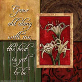 Spice Four Patch: Grow Old with Me Láminas por Debbie DeWitt