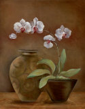 Orchid Antiquity II Poster by Jane Tava